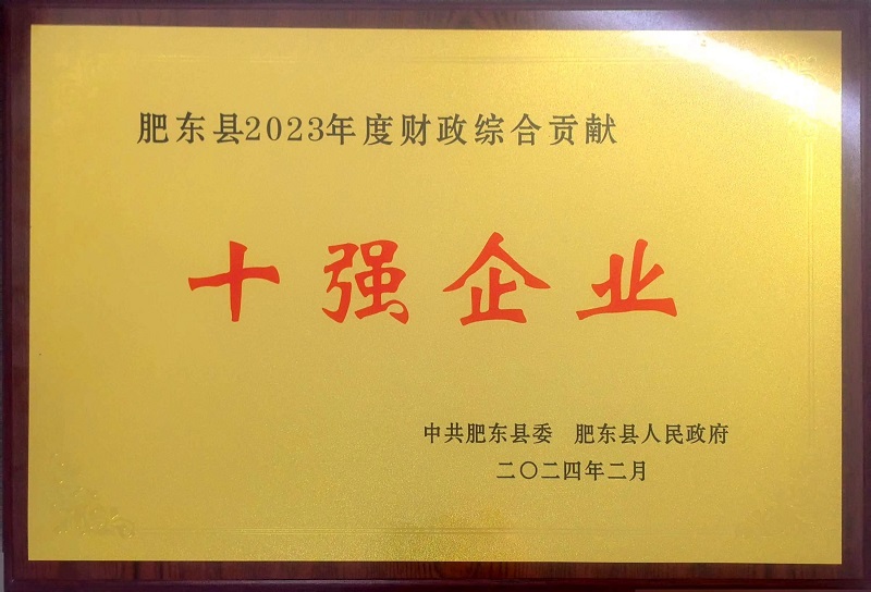 肥東縣2023年度財(cái)政綜合貢獻(xiàn)十強(qiáng)企業(yè)